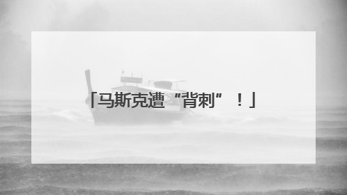 马斯克遭“背刺”！