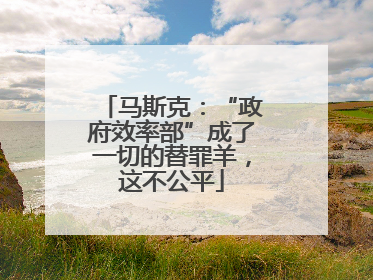 马斯克：“政府效率部”成了一切的替罪羊，这不公平