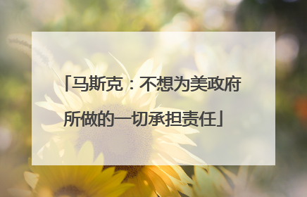 马斯克：不想为美政府所做的一切承担责任