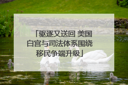 驱逐又送回 美国白宫与司法体系围绕移民争端升级