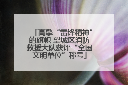 高擎“雷锋精神”的旗帜 望城区消防救援大队获评“全国文明单位”称号
