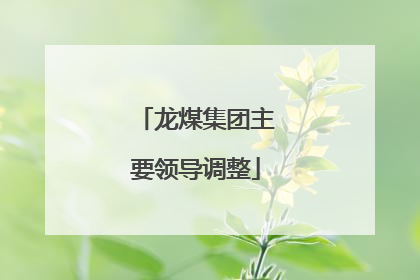 龙煤集团主要领导调整