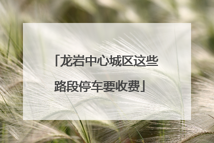 龙岩中心城区这些路段停车要收费