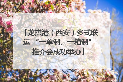 龙拱港（西安）多式联运 “一单制、一箱制” 推介会成功举办