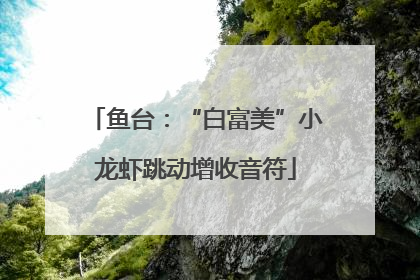 鱼台：“白富美”小龙虾跳动增收音符
