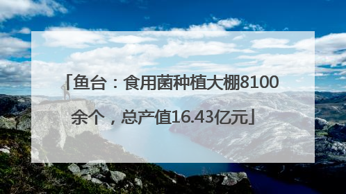 鱼台：食用菌种植大棚8100余个，总产值16.43亿元