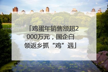 鸡蛋年销售额超2000万元，国企白领返乡抓“鸡”遇