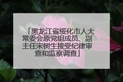黑龙江省绥化市人大常委会原党组成员、副主任宋树生接受纪律审查和监察调查