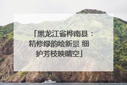 黑龙江省桦南县：精修绿韵绘新景 细护芳枝映晴空
