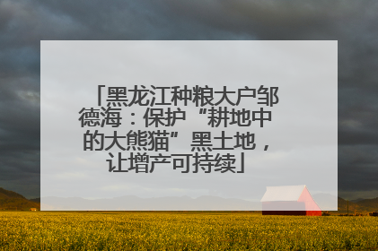 黑龙江种粮大户邹德海：保护“耕地中的大熊猫”黑土地，让增产可持续