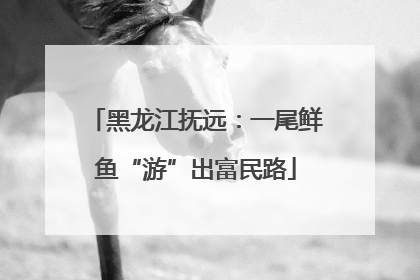 黑龙江抚远：一尾鲜鱼“游”出富民路