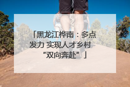 黑龙江桦南：多点发力 实现人才乡村“双向奔赴”