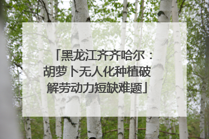 黑龙江齐齐哈尔：胡萝卜无人化种植破解劳动力短缺难题