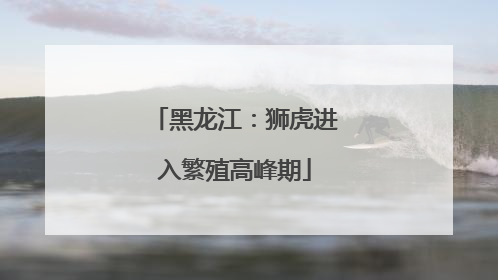 黑龙江：狮虎进入繁殖高峰期