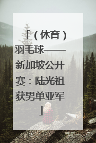 （体育）羽毛球——新加坡公开赛：陆光祖获男单亚军