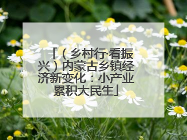 （乡村行·看振兴）内蒙古乡镇经济新变化：小产业累积大民生