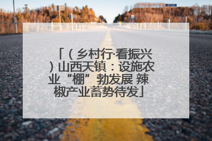 （乡村行·看振兴）山西天镇：设施农业“棚”勃发展 辣椒产业蓄势待发