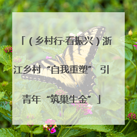 （乡村行·看振兴）浙江乡村“自我重塑” 引青年“筑巢生金”
