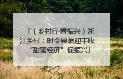 （乡村行·看振兴）浙江乡村：时令果蔬迎丰收 “甜蜜经济”促振兴