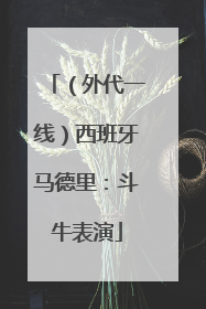 （外代一线）西班牙马德里：斗牛表演
