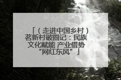 （走进中国乡村）茗新村破圈记：民族文化赋能 产业借势 “网红东风”