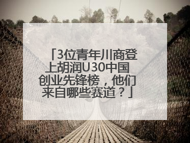 3位青年川商登上胡润U30中国创业先锋榜，他们来自哪些赛道？