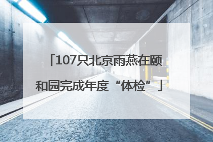 107只北京雨燕在颐和园完成年度“体检”