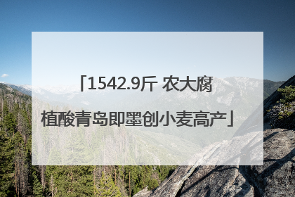1542.9斤 农大腐植酸青岛即墨创小麦高产