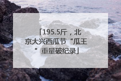 195.5斤，北京大兴西瓜节“瓜王”重量破纪录