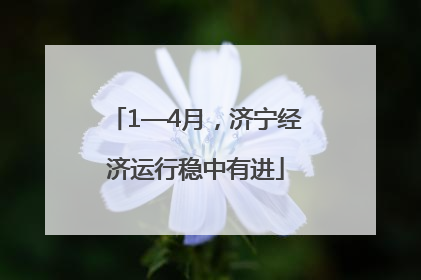 1—4月，济宁经济运行稳中有进