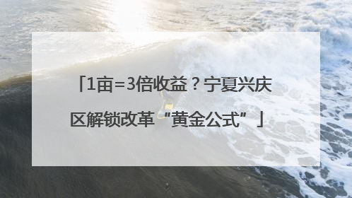 1亩=3倍收益？宁夏兴庆区解锁改革“黄金公式”