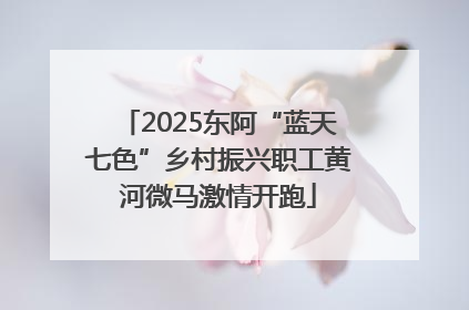 2025东阿“蓝天七色”乡村振兴职工黄河微马激情开跑