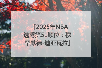 2025年NBA选秀第51顺位：穆罕默德-迪亚瓦拉