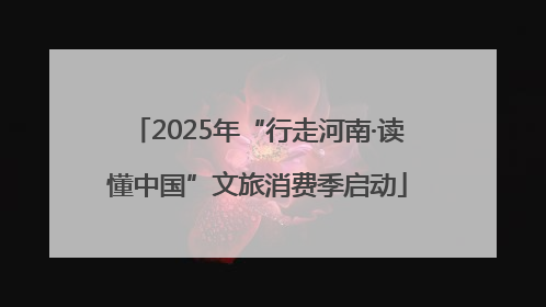 2025年“行走河南·读懂中国”文旅消费季启动
