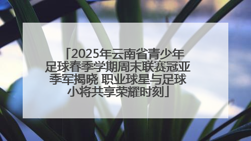 2025年云南省青少年足球春季学期周末联赛冠亚季军揭晓 职业球星与足球小将共享荣耀时刻