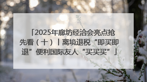 2025年廊坊经洽会亮点抢先看（十）丨离境退税“即买即退”便利国际友人“买买买”