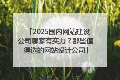 2025国内网站建设公司哪家有实力？那些值得选的网站设计公司