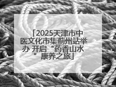2025天津市中医文化市集蓟州站举办 开启“药香山水”康养之旅