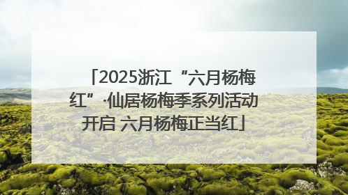 2025浙江“六月杨梅红”·仙居杨梅季系列活动开启 六月杨梅正当红