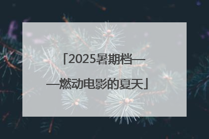 2025暑期档——燃动电影的夏天