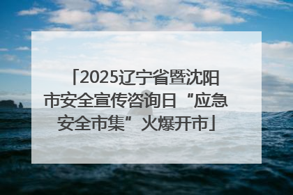 2025辽宁省暨沈阳市安全宣传咨询日“应急安全市集”火爆开市