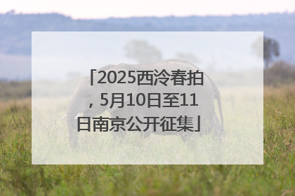 2025西泠春拍，5月10日至11日南京公开征集