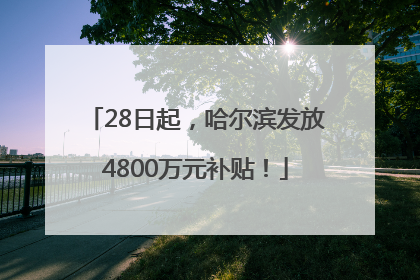 28日起，哈尔滨发放4800万元补贴！