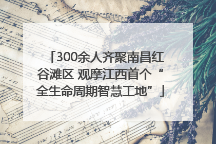 300余人齐聚南昌红谷滩区 观摩江西首个“全生命周期智慧工地”