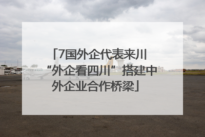 7国外企代表来川 “外企看四川”搭建中外企业合作桥梁