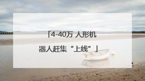 4-40万 人形机器人赶集“上线”