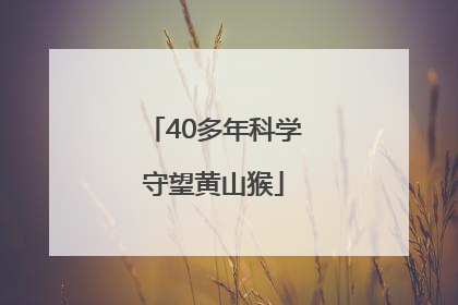 40多年科学守望黄山猴