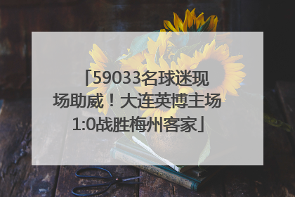 59033名球迷现场助威！大连英博主场1:0战胜梅州客家