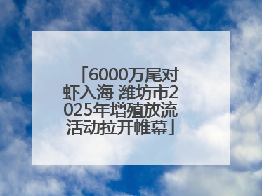 6000万尾对虾入海 潍坊市2025年增殖放流活动拉开帷幕