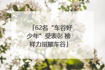 62名“车谷好少年”受表彰 榜样力量耀车谷